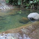 The swimming pool.