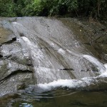 A river view along the edge of the property.