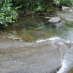 A river view along the edge of the property.