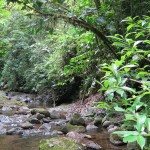 A view of the river along the property edge with the nature preserve.