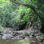 A view of the river along the property edge with the nature preserve.