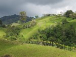 Panamanian Highlands