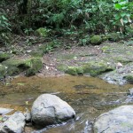 A view of the river along the property edge with the nature preserve.