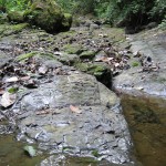 A view of the river along the property edge with the nature preserve.