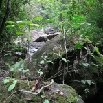 A view of the river along the property edge with the nature preserve.