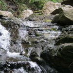 A view of the river along the property edge with the nature preserve.
