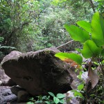 A view of the river along the property edge with the nature preserve.