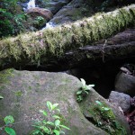 A view of the river along the property edge with the nature preserve.