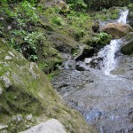 A view of the river along the property edge with the nature preserve.