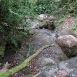 A view of the river along the property edge with the nature preserve.