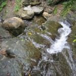 A view of the river along the property edge with the nature preserve.