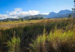 Highlands of Panama