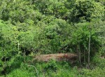Corral site