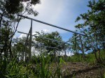 Corral near jungle under construction
