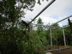 Henry building the Corral