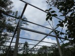 Corral near jungle under construction