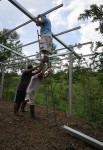 When the ladder isn't tall enough!