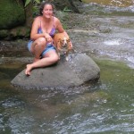 A monkey and a piglet on a rock in the river