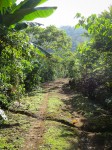 Heading down to the corral