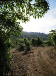 Entrance to the left: Corral 2