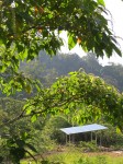 Corral 2:view from the road
