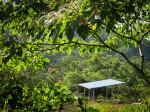 Corral 2: view from the road
