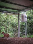 Corral 1 with water catchment tower