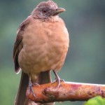 A new visitor