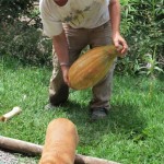 A squash the size of Lola: $4, and it made a great soup for many days...
