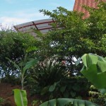 The new carport: view from the driveway