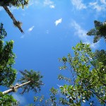 A beautiful day in the gardens