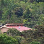 The house: View from the tower in the Botanical Gardens--really growing in nicely