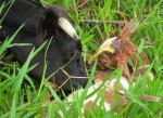Mama & Baby