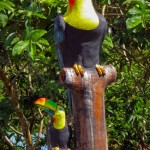 The new Toucan Statue for the farm. Judith already broke it once in Panama.... Hope it survives the Colombian "man hands".