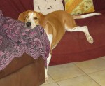 Babu using the chair as a head rest