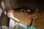 Got Milk? YUM!!!